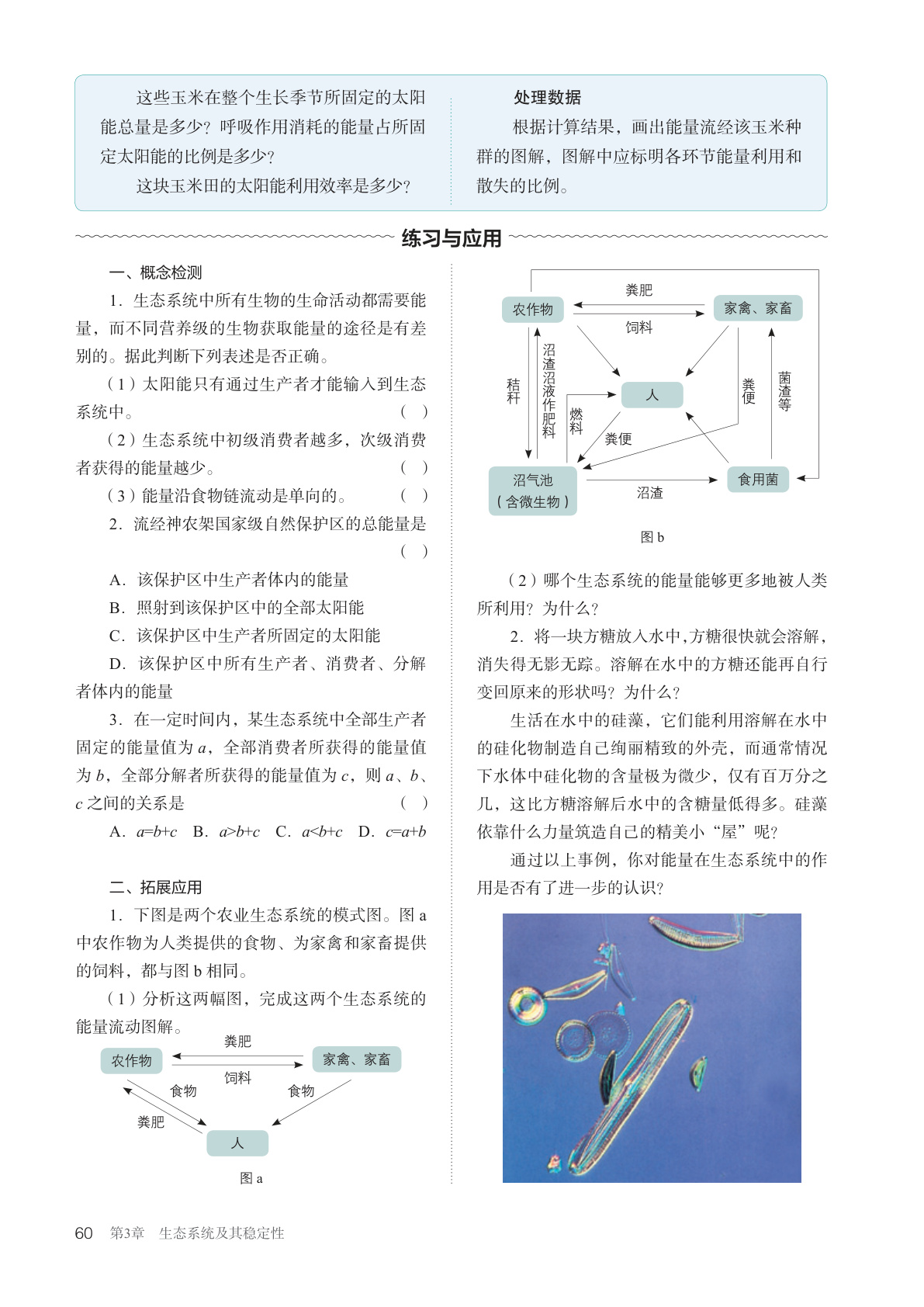 novel_db21ed02f439.jpg