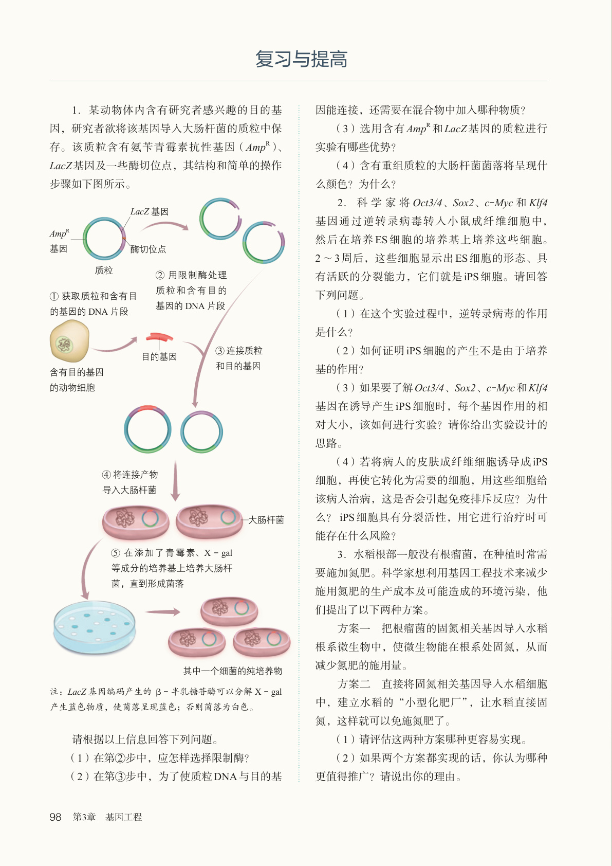novel_82ed8e3e932c.jpg