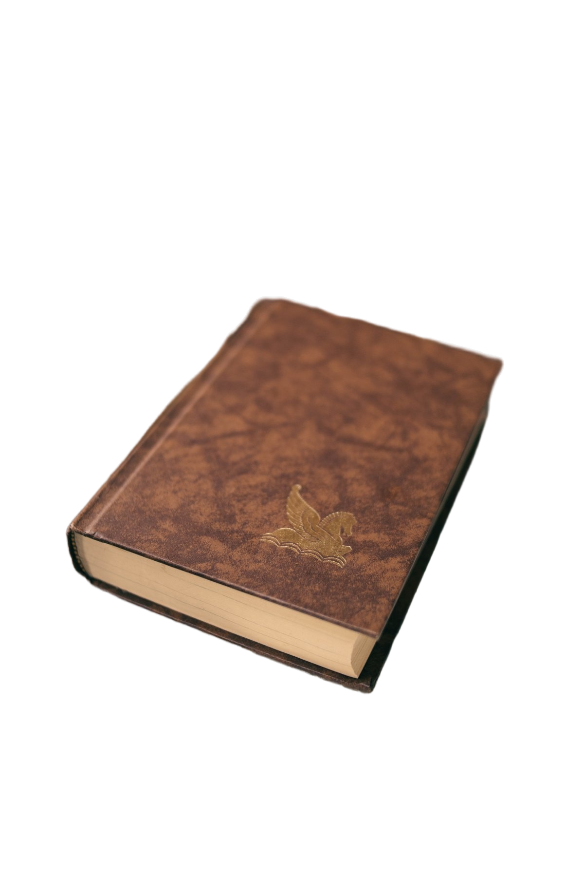 19c1182335794f019ecb614b37ff101d.png
