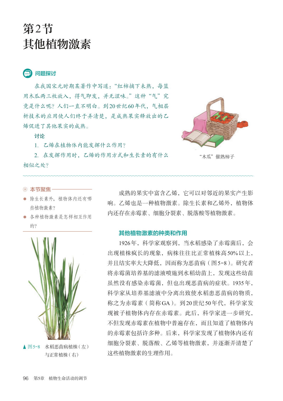 novel_b7e242364b25.jpg