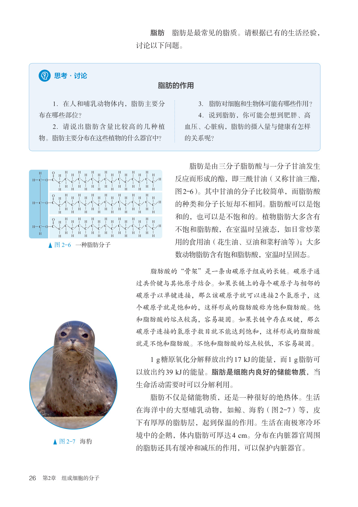 novel_6bd5d49f5f0f.jpg