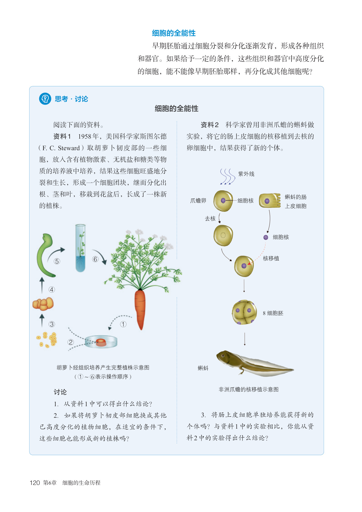 novel_5e1731a4075f.jpg