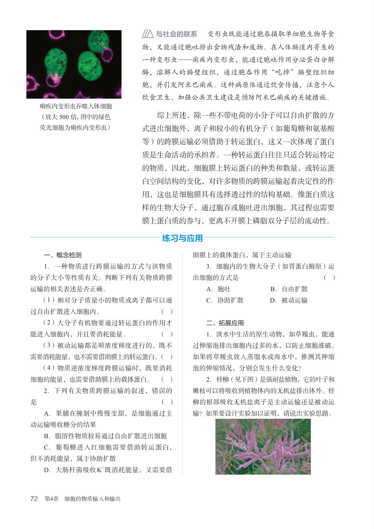 novel_454c757167fd.jpg