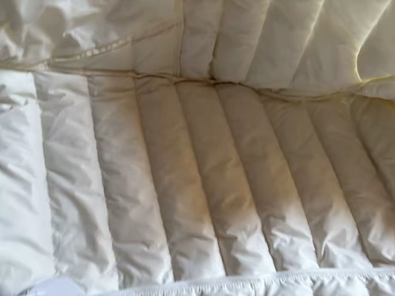 743b85ebe83e7e43e1c4de51b66007a1.jpg