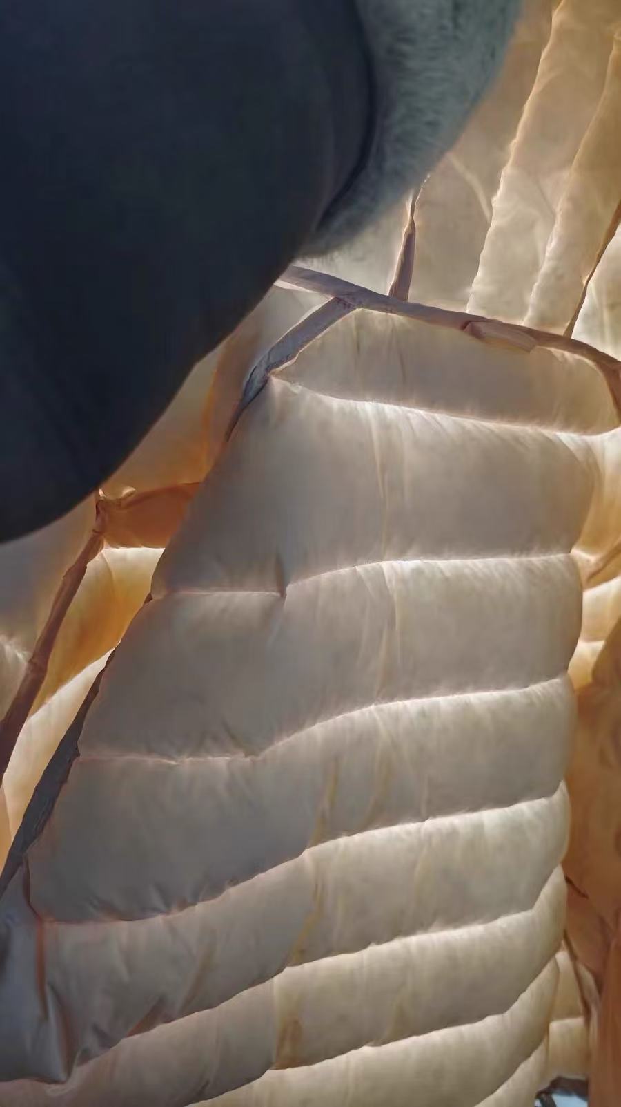13c4f655c119f087c3c05056dce12fb2.jpg