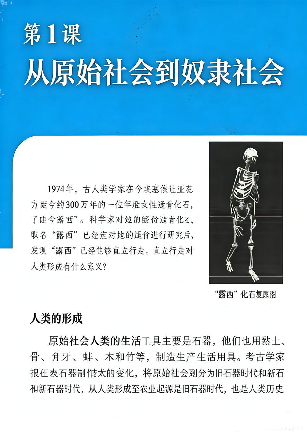 novel_e404cd079666.jpg