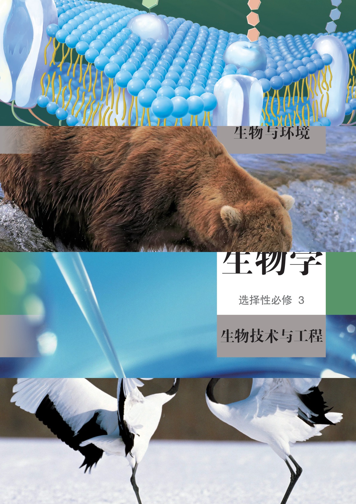 novel_c7d936fab605.jpg