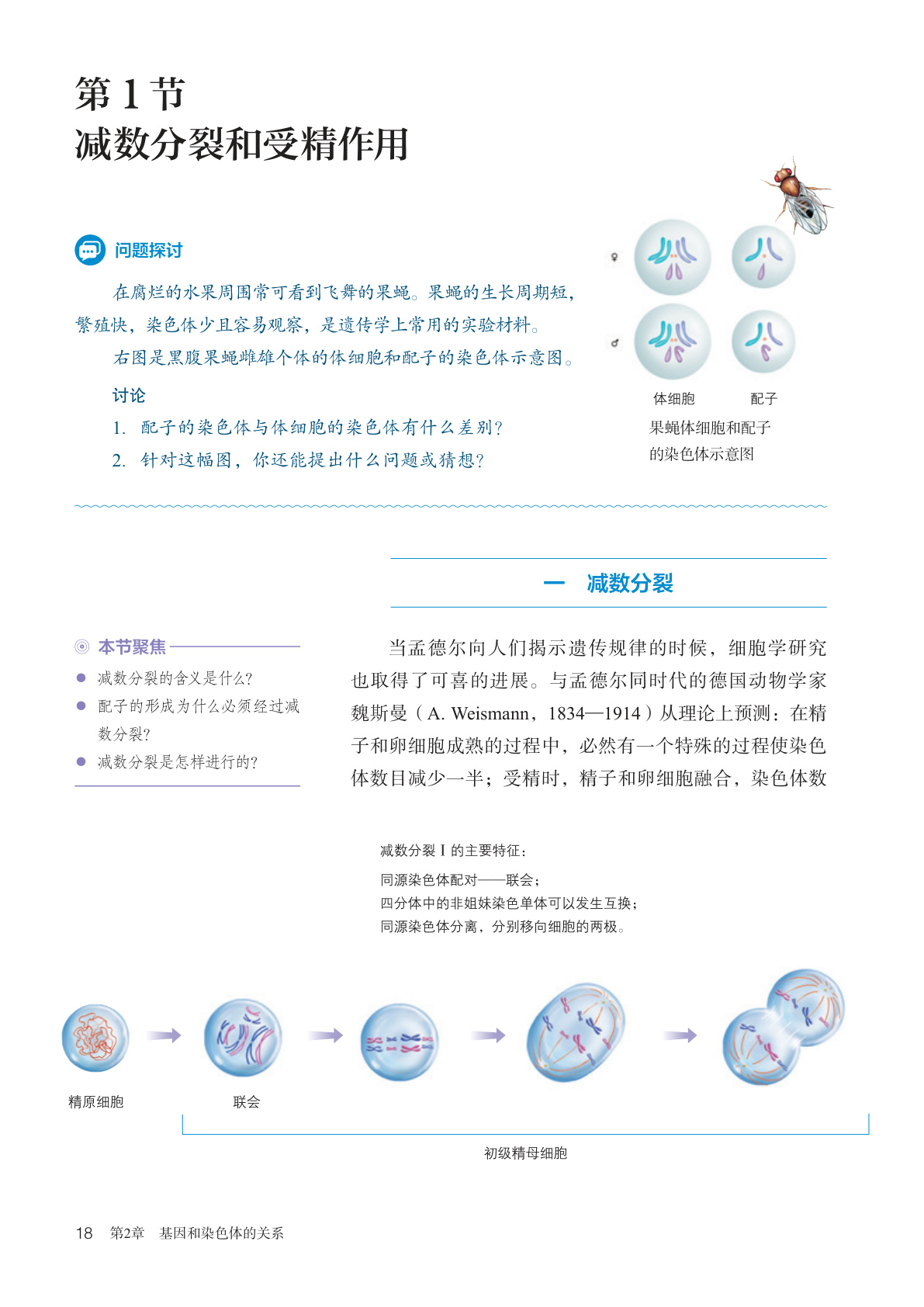 novel_f85c9b4fca6f.jpg