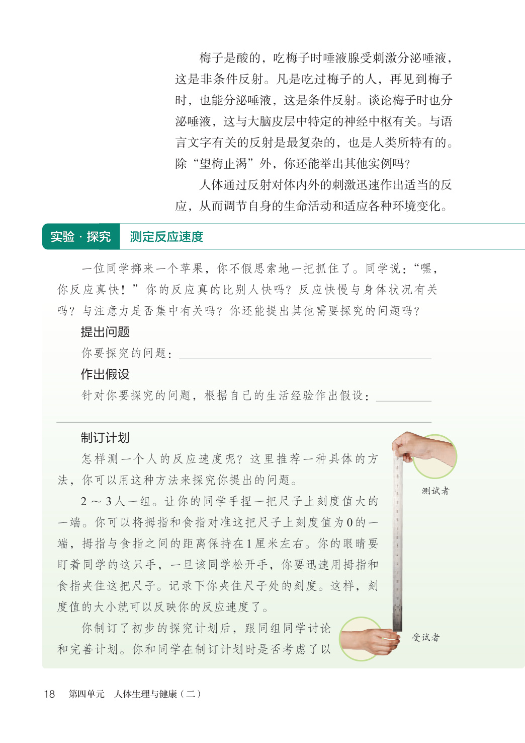 novel_1ccbe61ee1ea.jpg