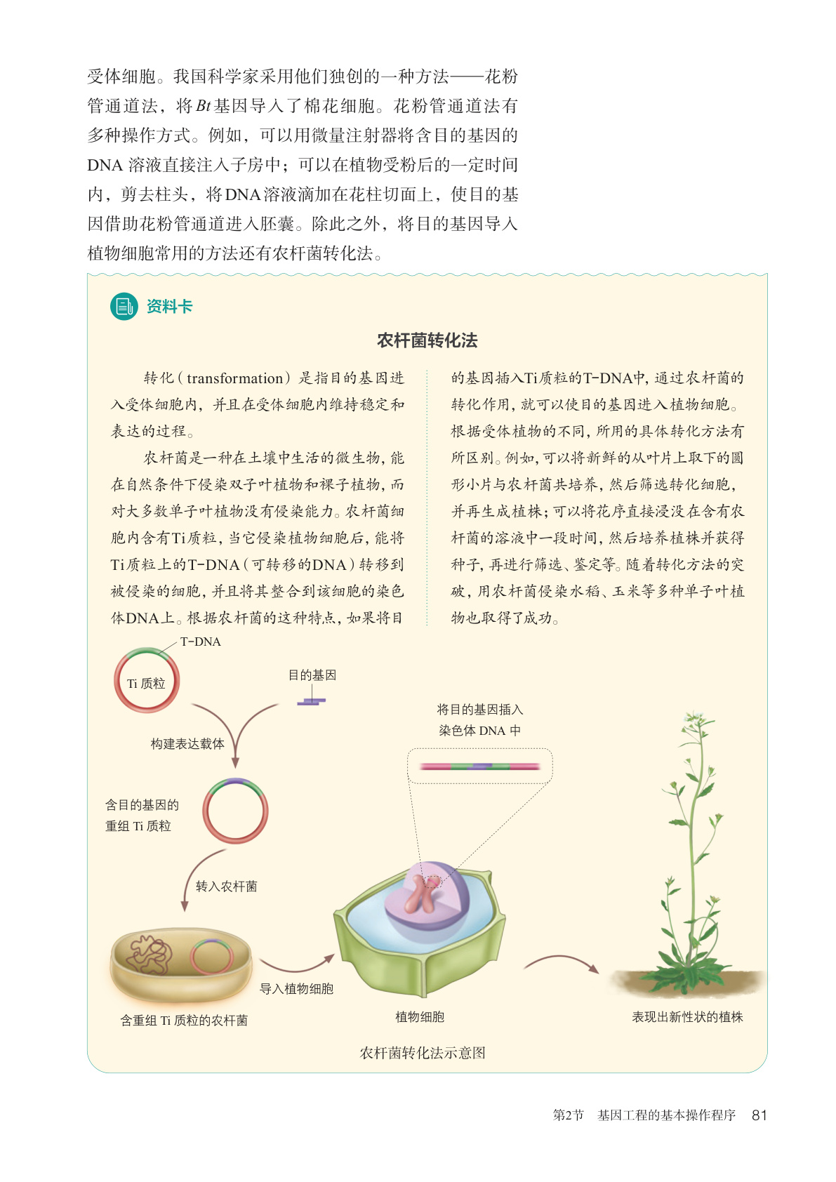 novel_404934aeaeb6.jpg