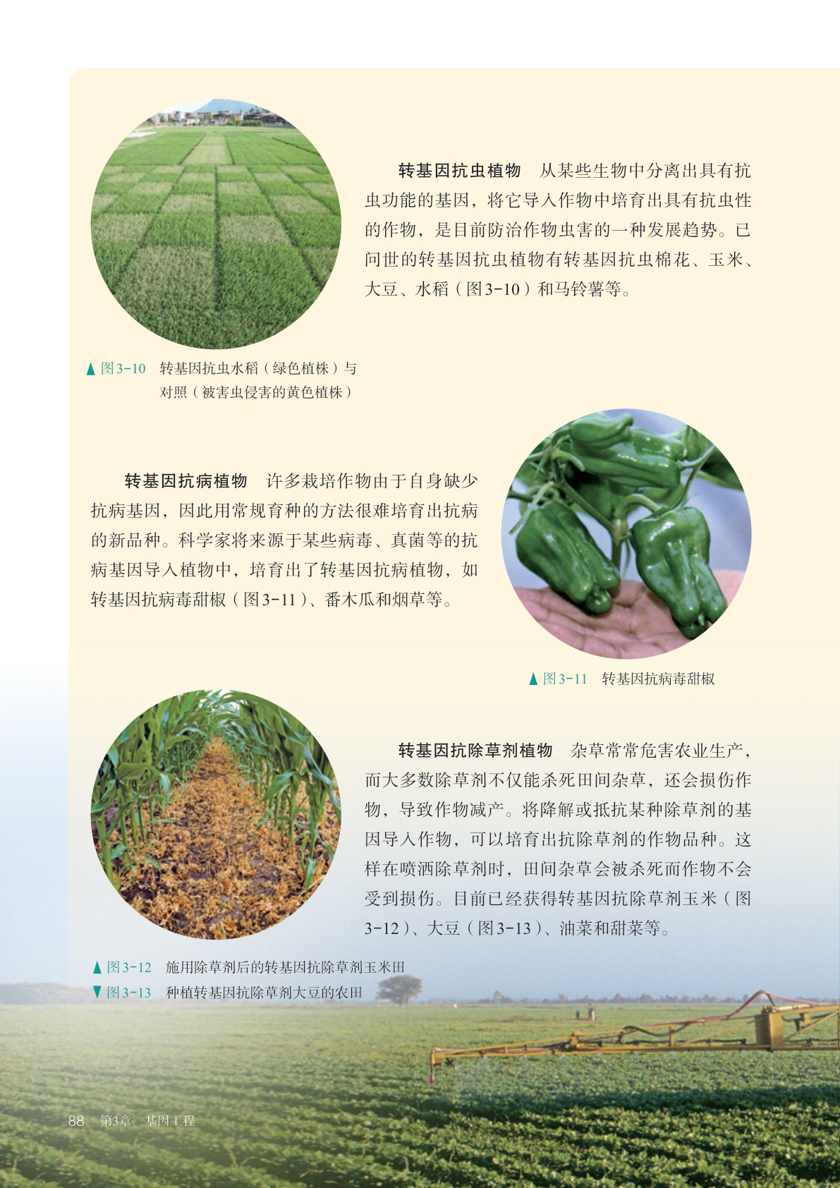 novel_99cc56d5e416.jpg
