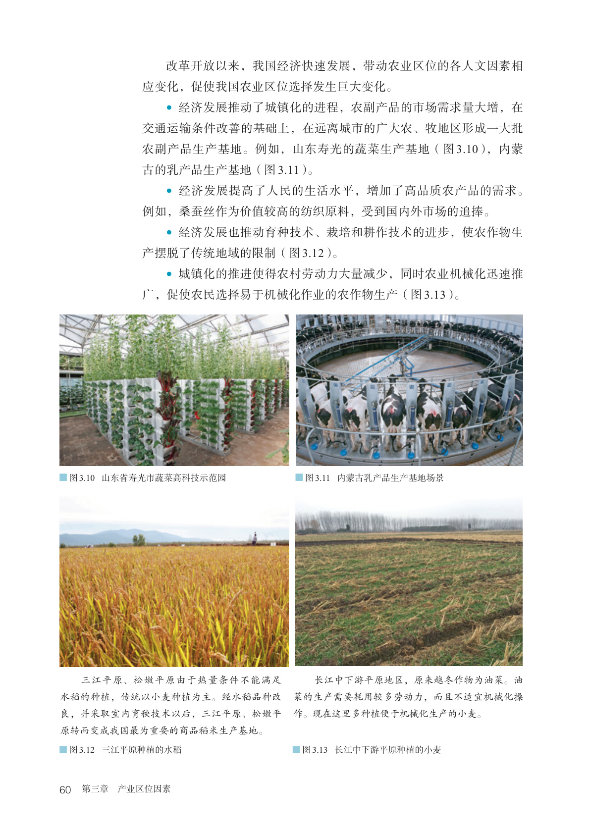 novel_a3ced754375d.jpg