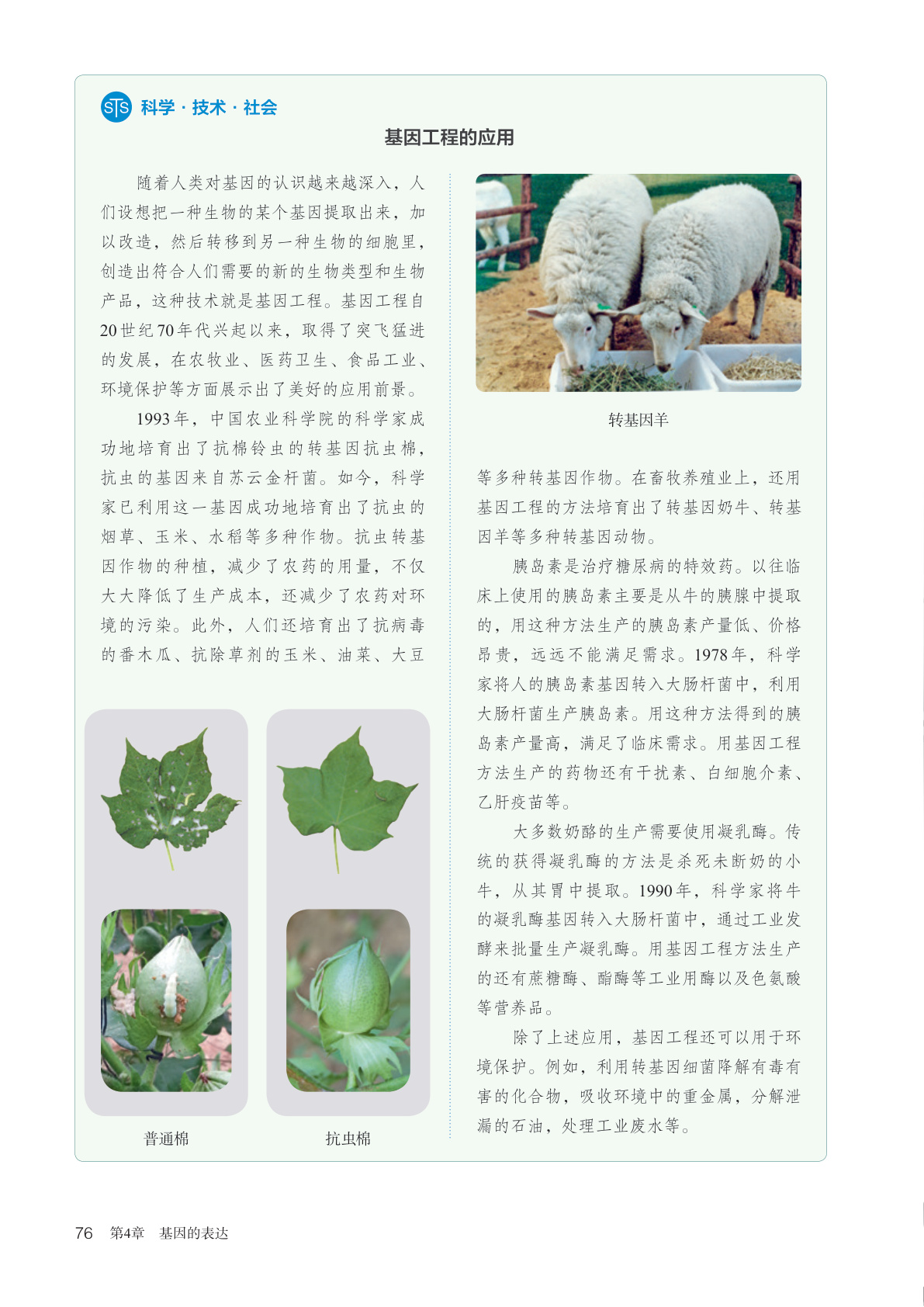 novel_eab60fc6cb74.jpg