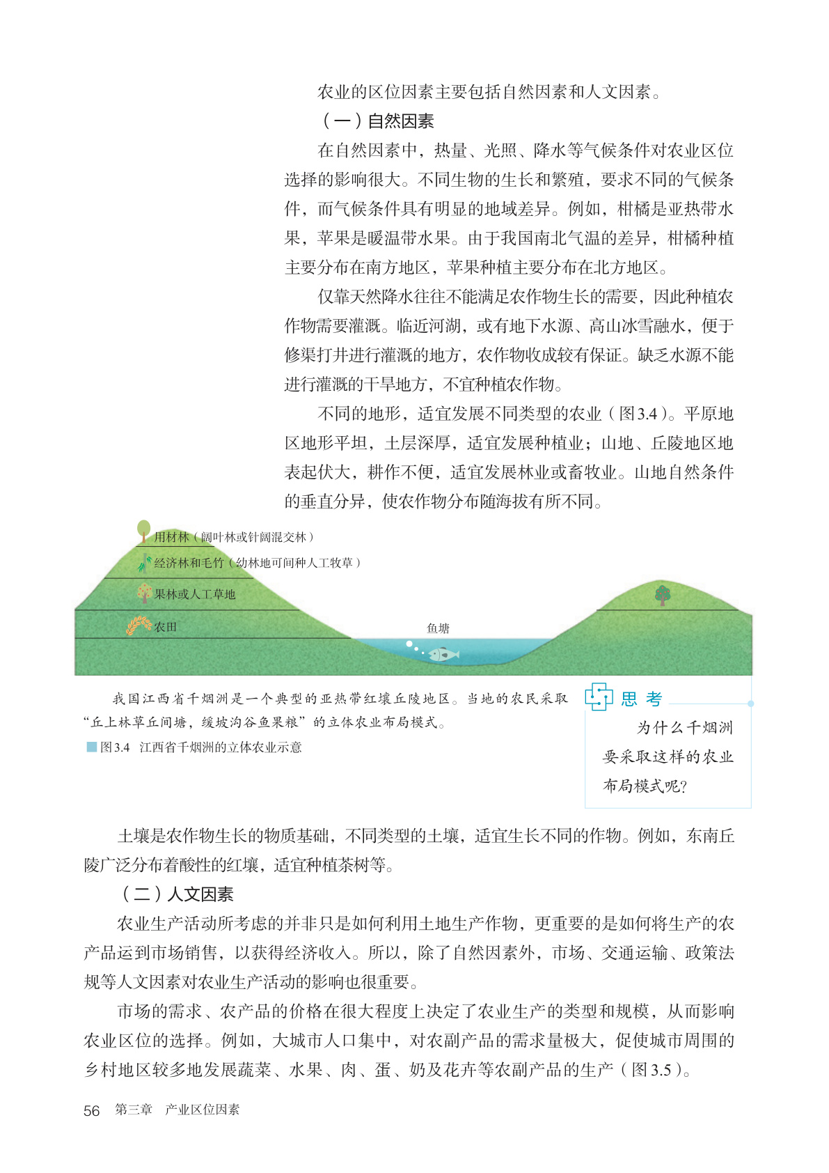 novel_31db48eef24e.jpg