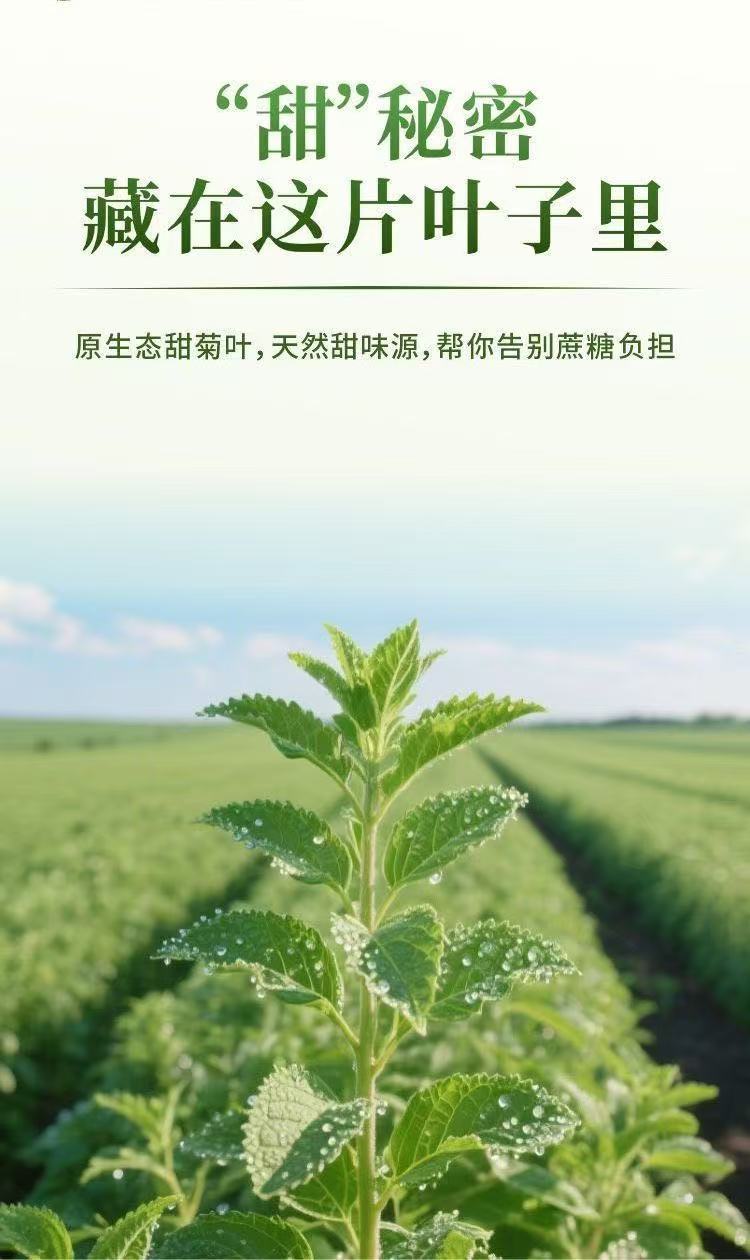 详情-1.jpg