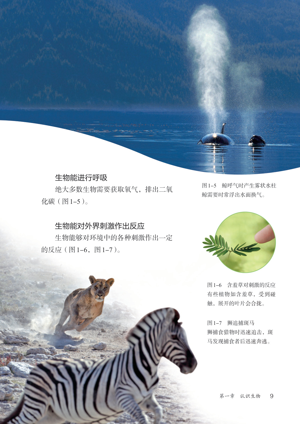 novel_23b48df72488.jpg