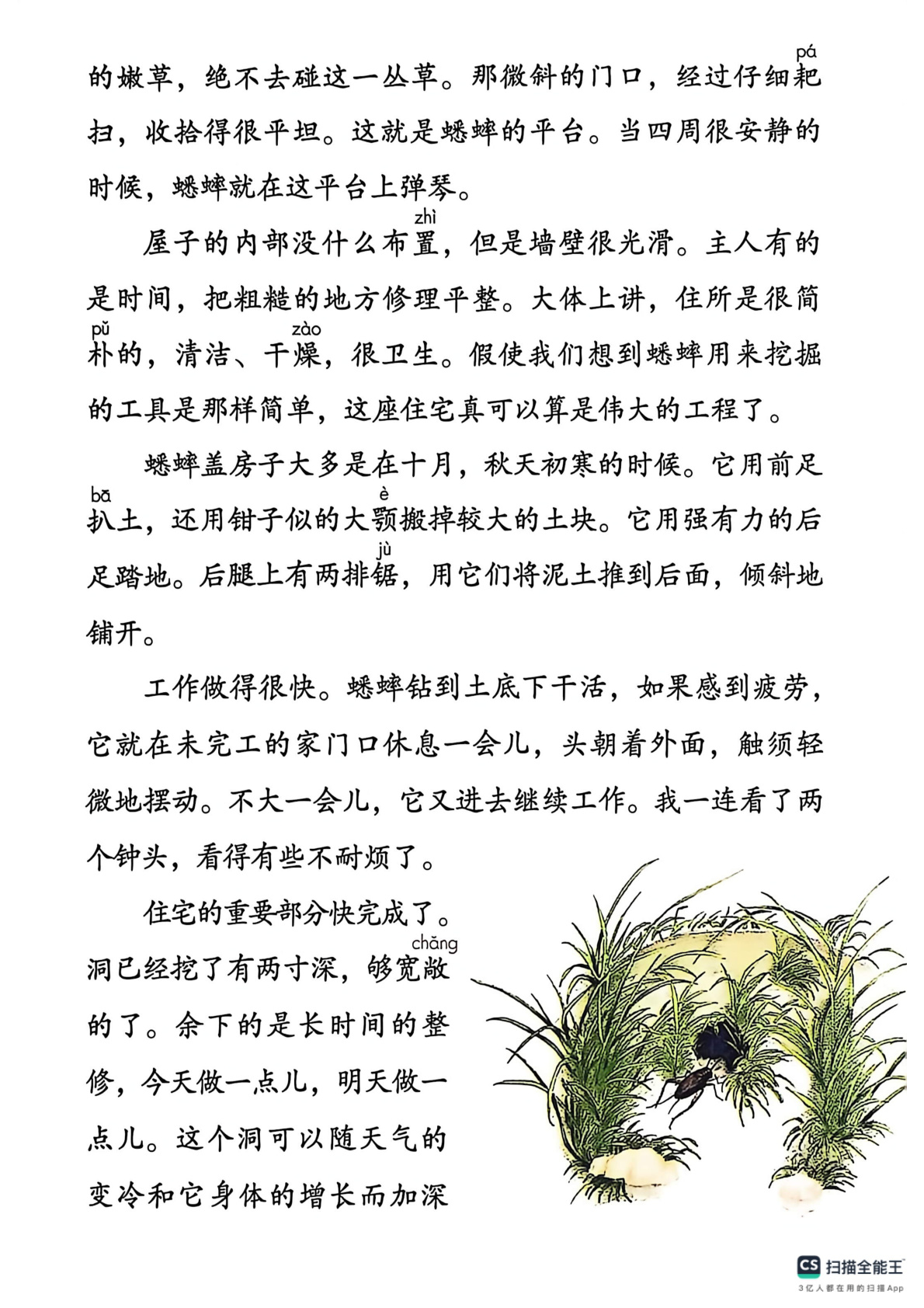 novel_c3308f69ed78.jpg