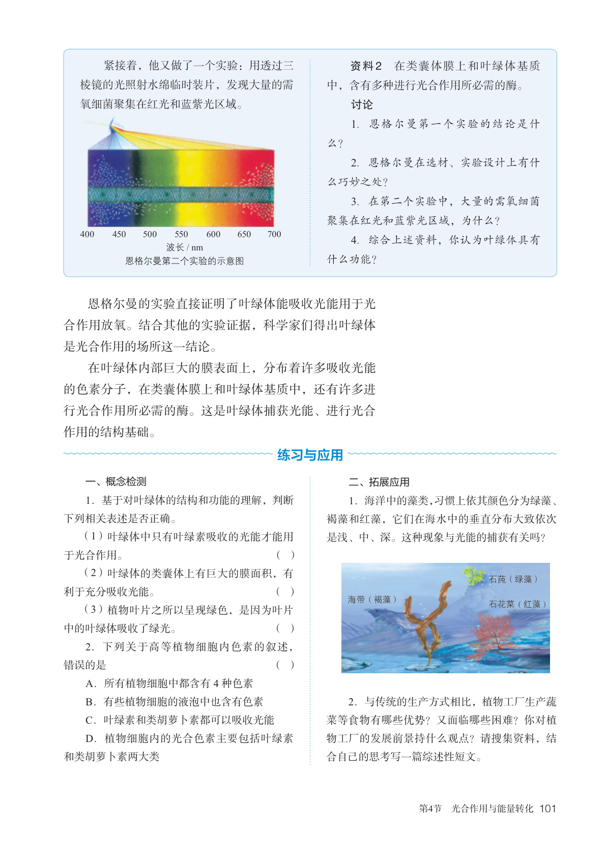 novel_86f36f0a552b.jpg
