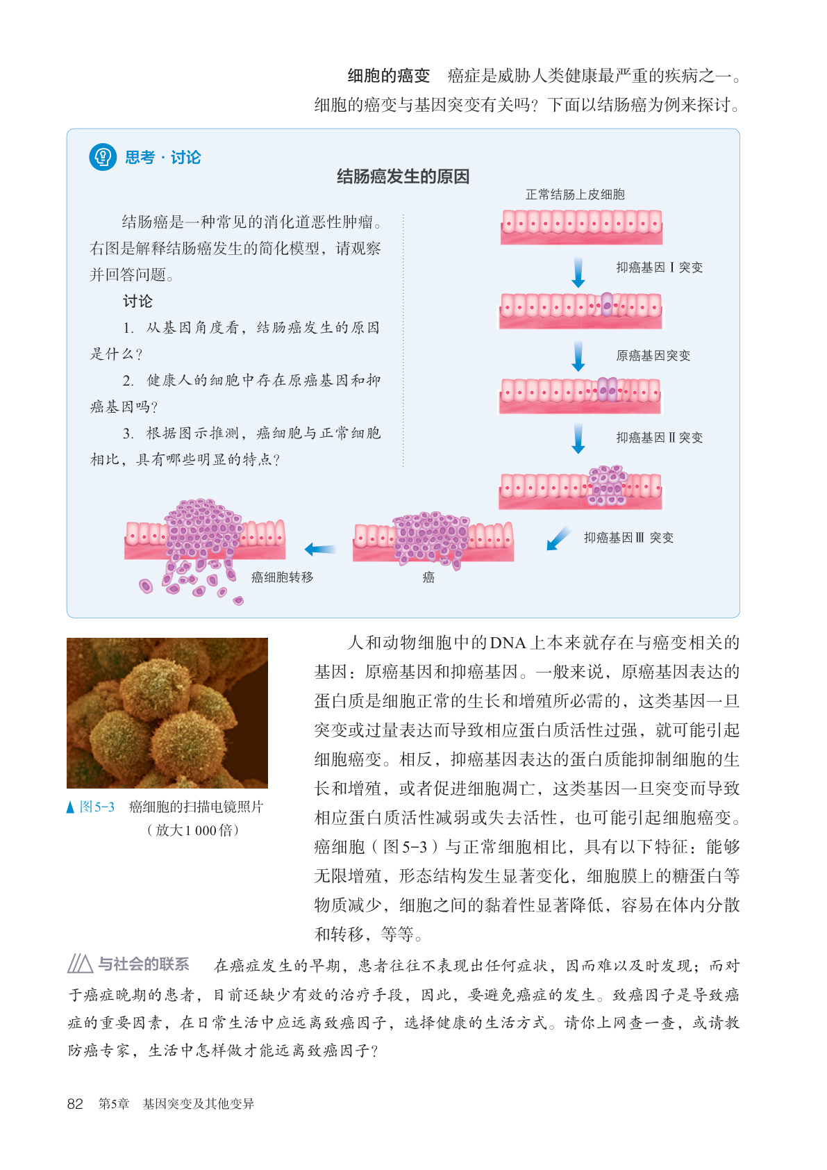 novel_425b6e065eb1.jpg