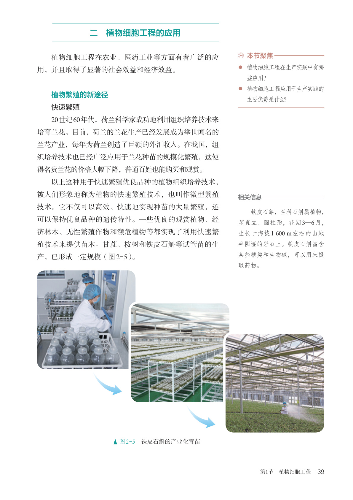 novel_9a165ed24fa5.jpg
