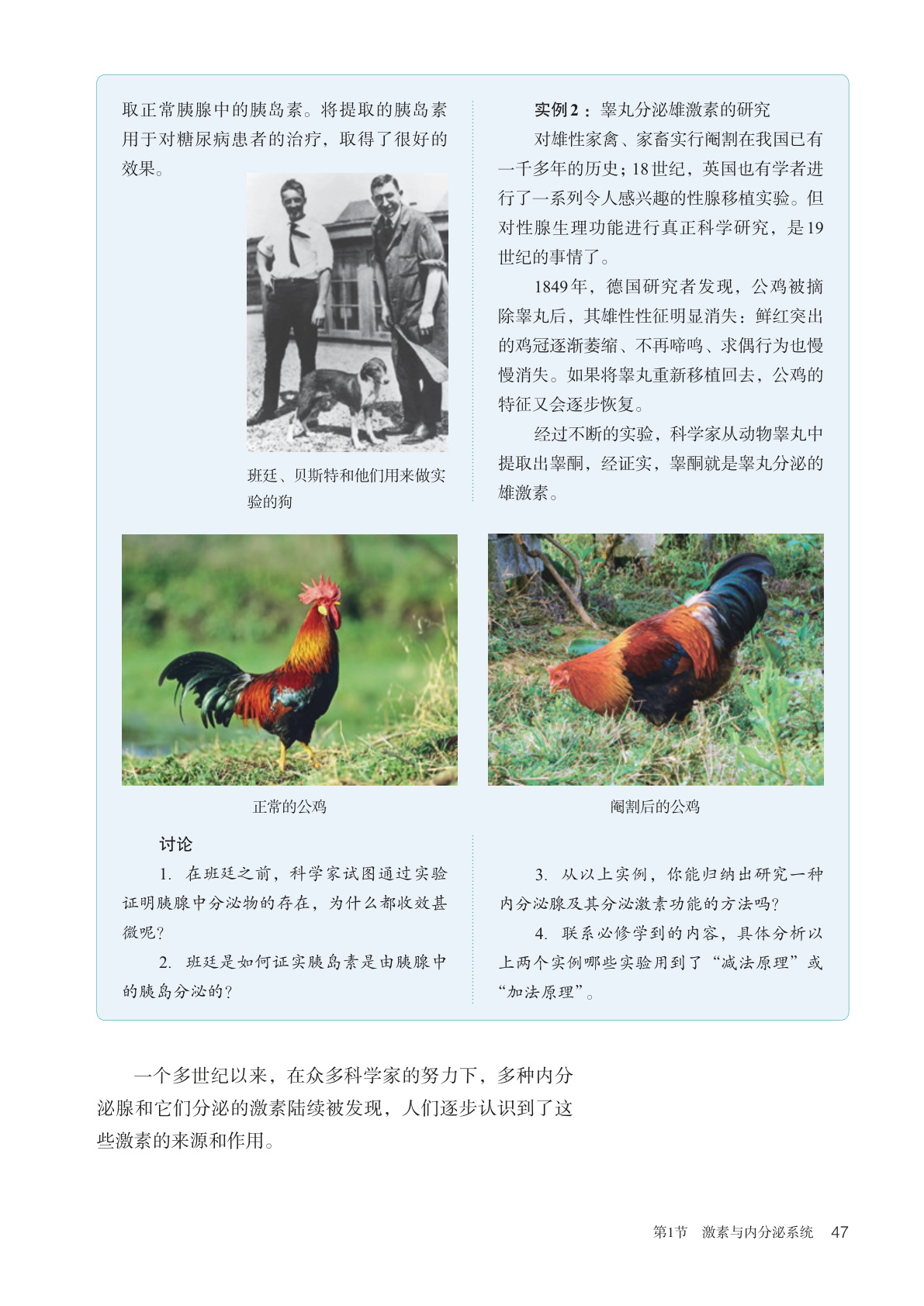 novel_907c6f66932b.jpg