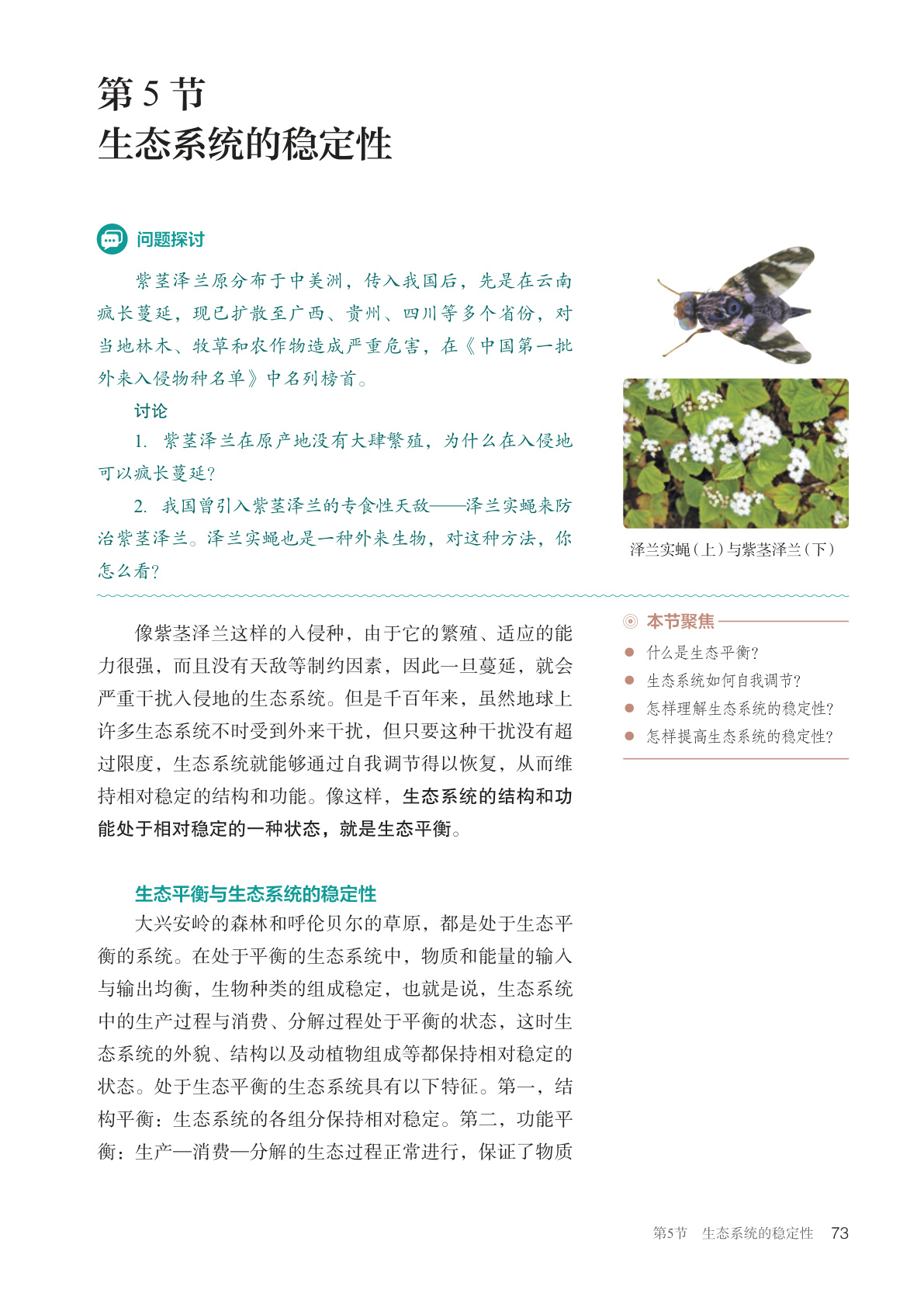 novel_7fc202a583b1.jpg