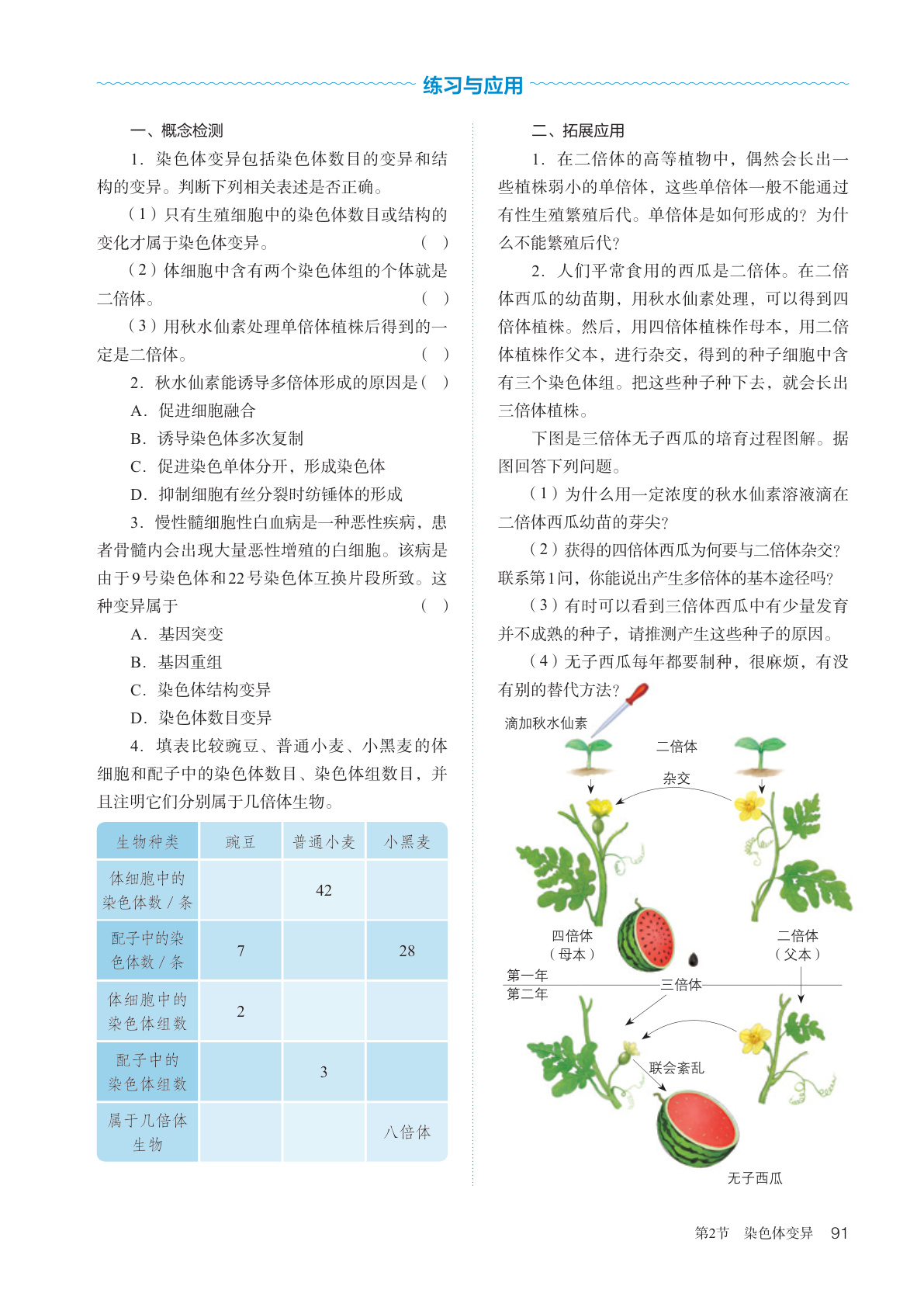 novel_a7a6a2387a28.jpg