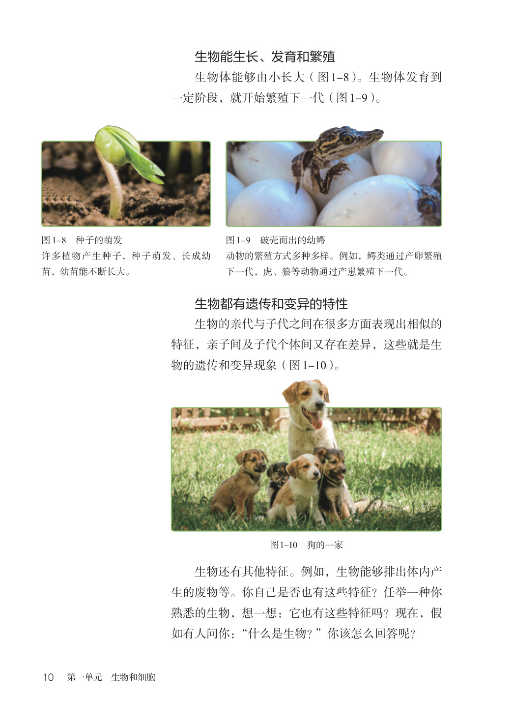 novel_20e7dd41d4db.jpg