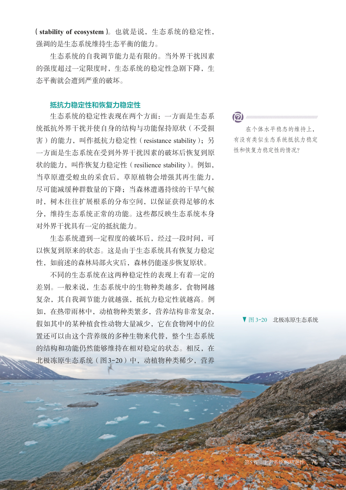 novel_fca0157254f8.jpg