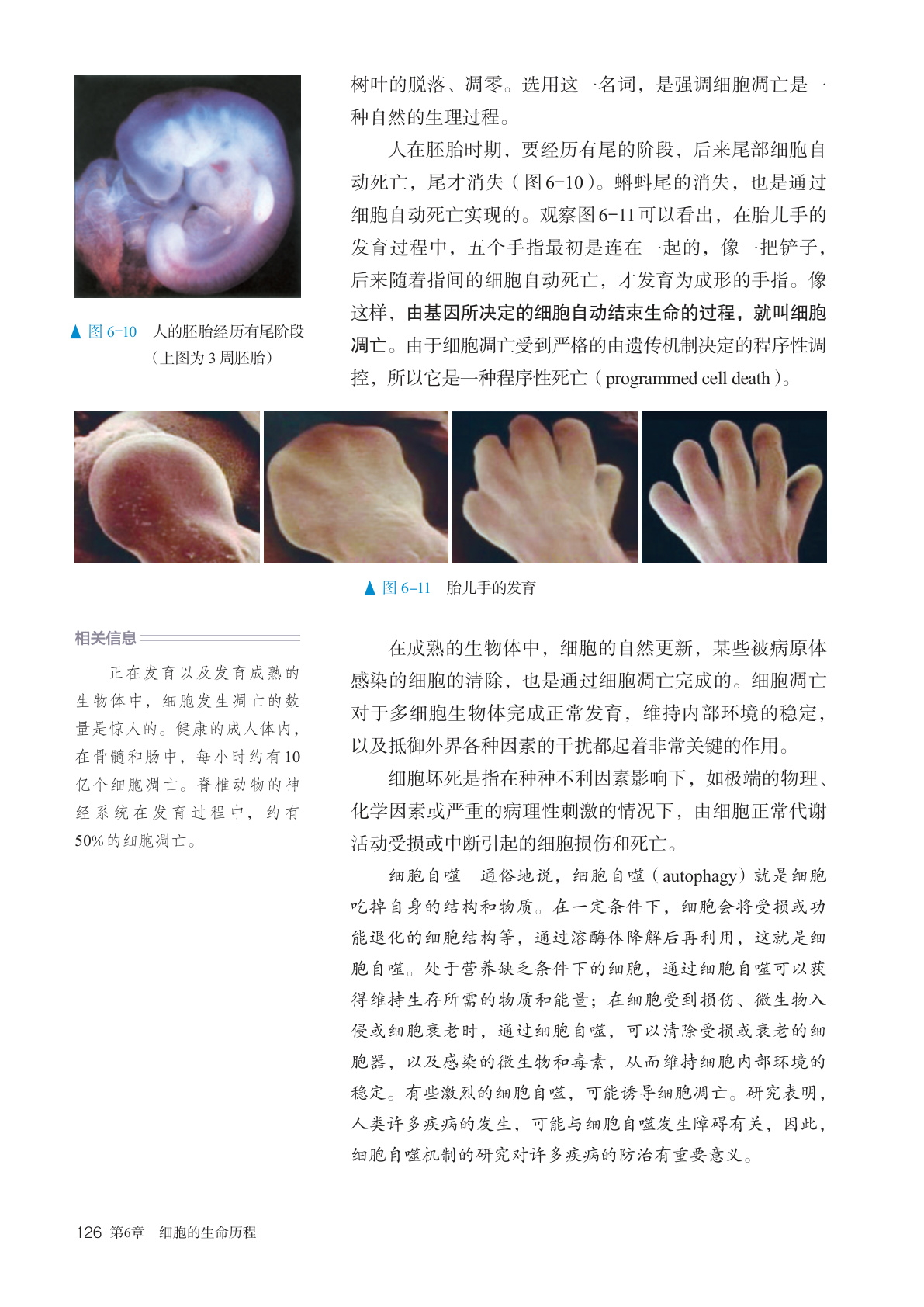 novel_f799c66e7c29.jpg