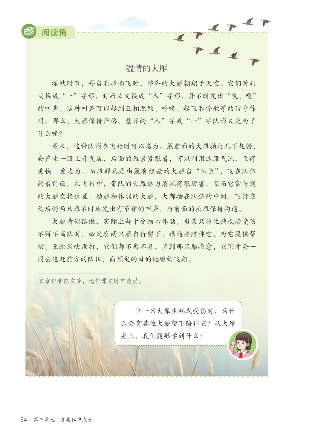 novel_2ab99b0dbd18.jpg