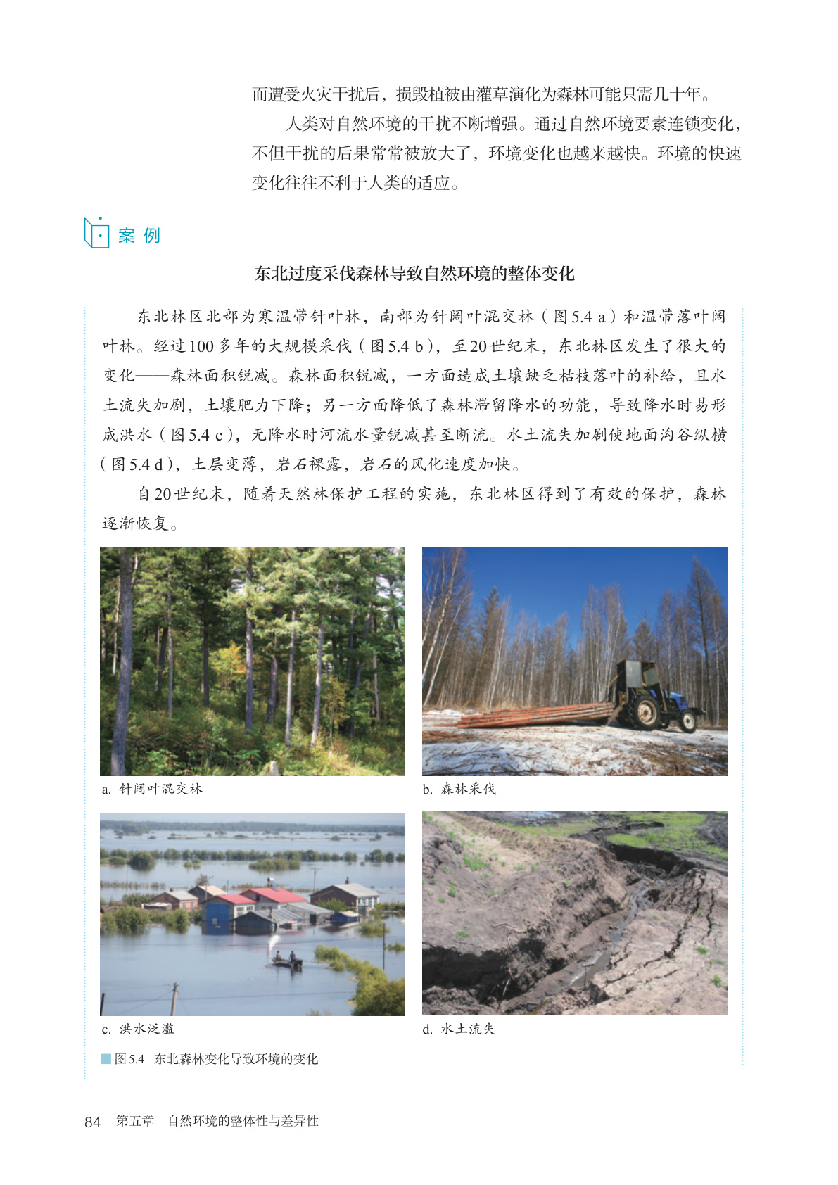 novel_75086c0cee8c.jpg