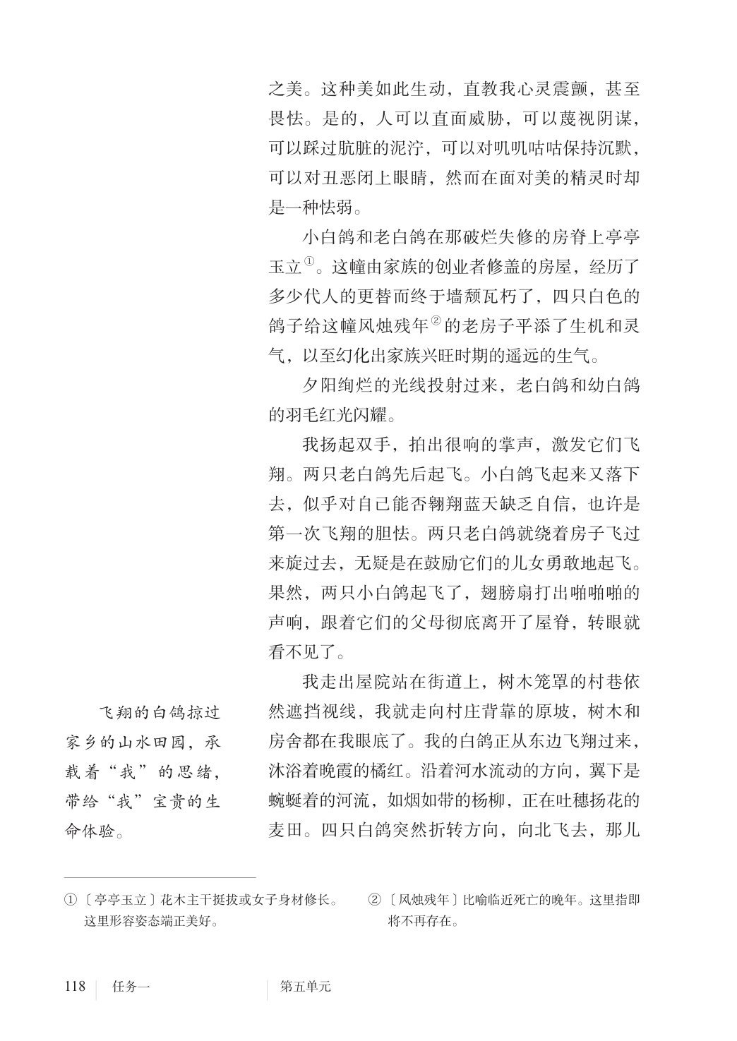 novel_eb6d44509812.jpg