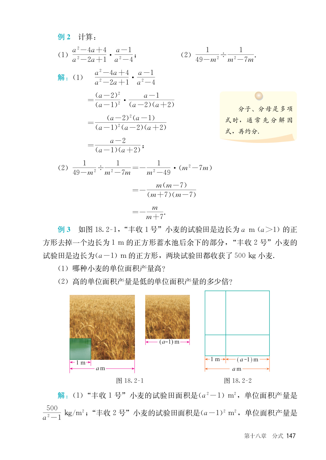 novel_436f761e2899.jpg