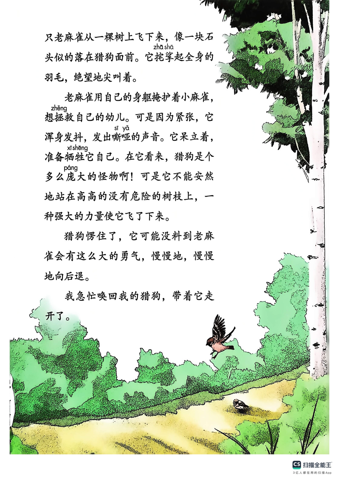 novel_ec1ccc50385b.jpg