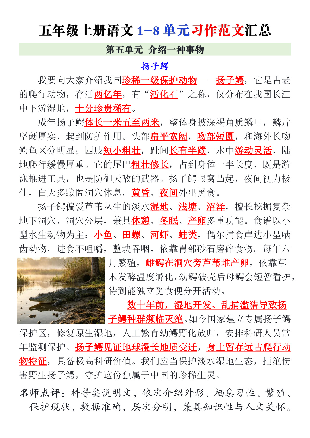 novel_23d62d008142.jpg