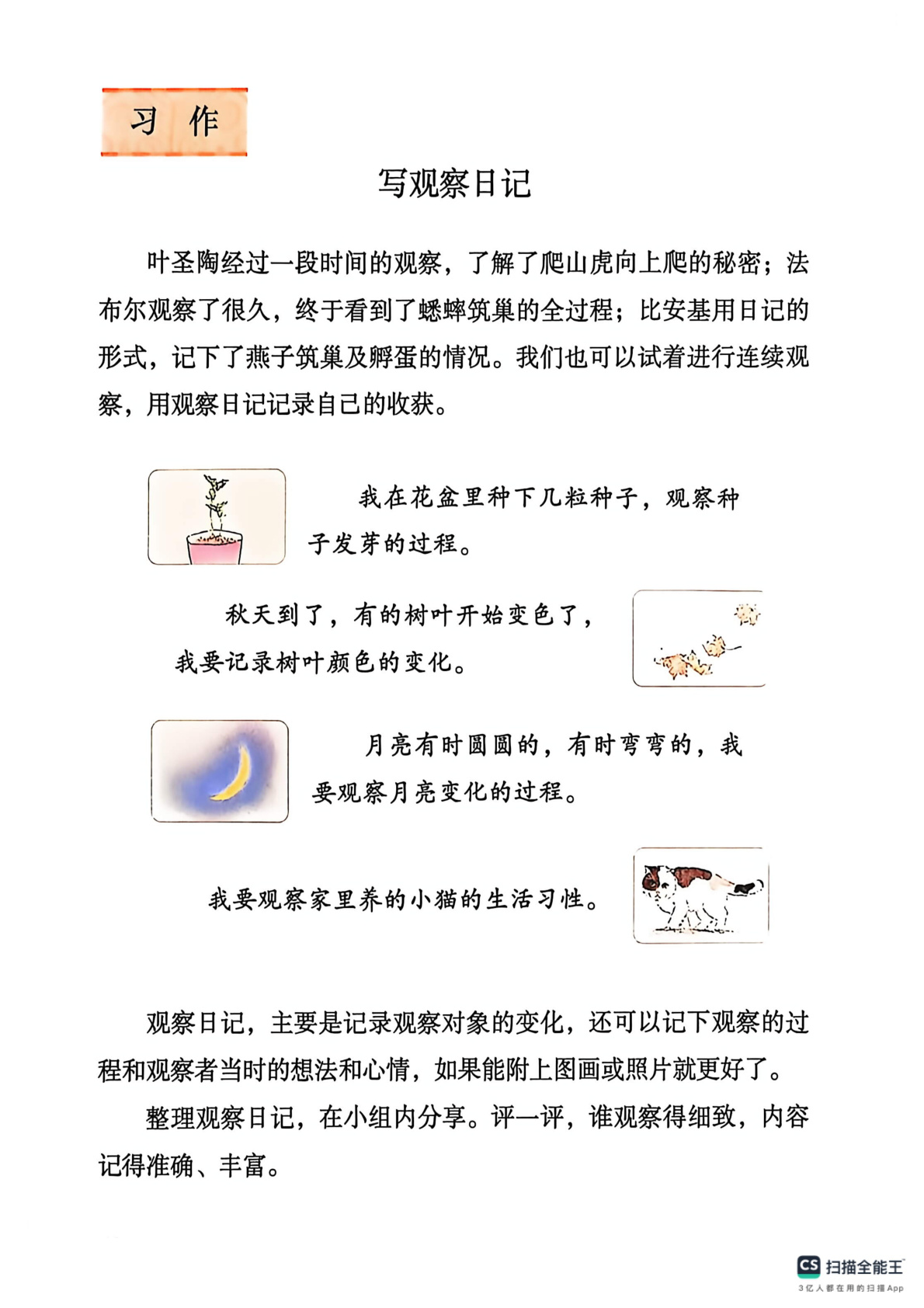 novel_207abdd38d45.jpg