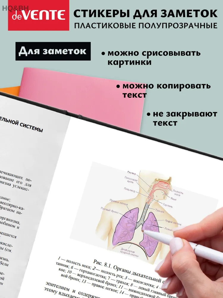 14061778853.webp