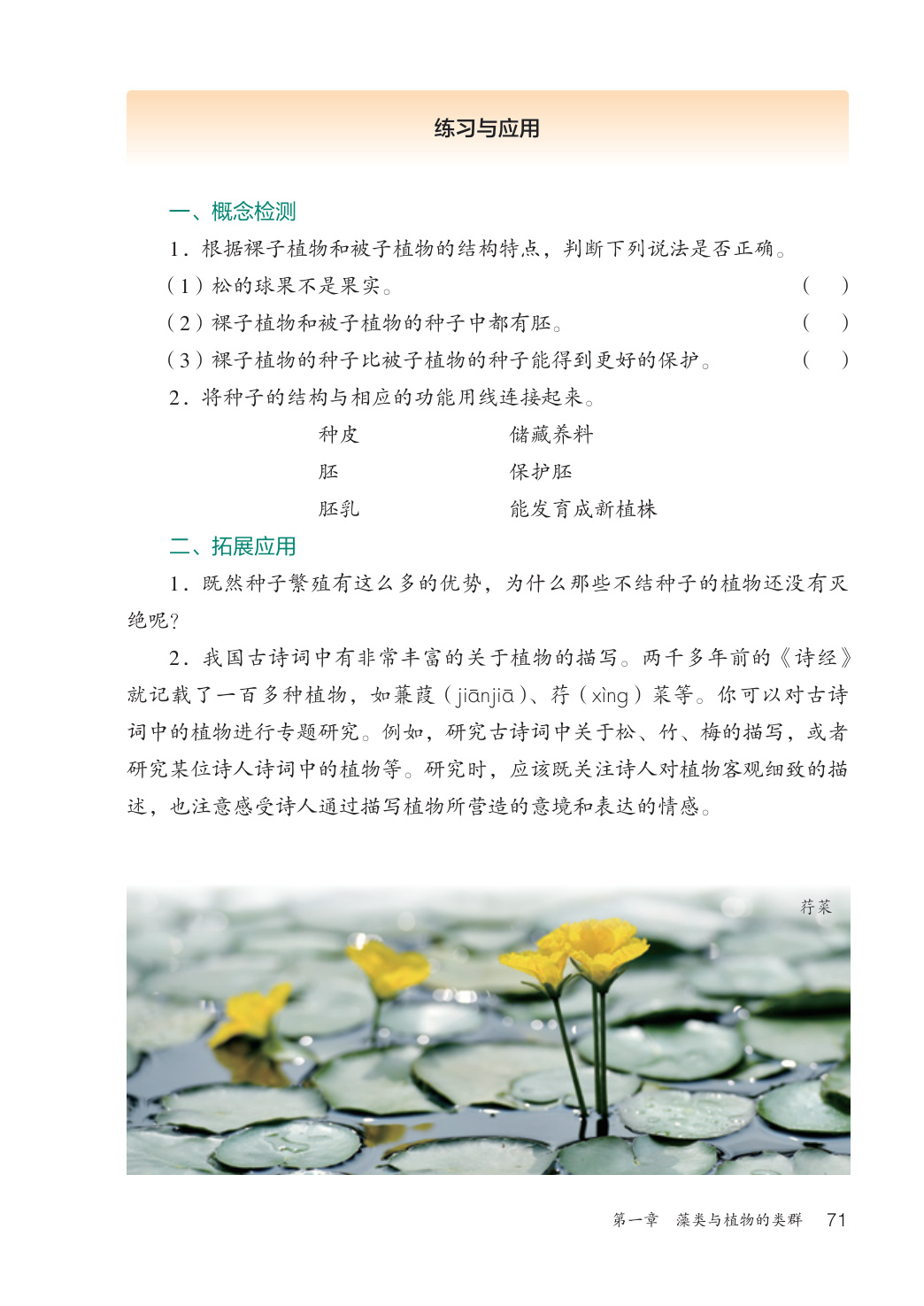 novel_eb244763a42e.jpg