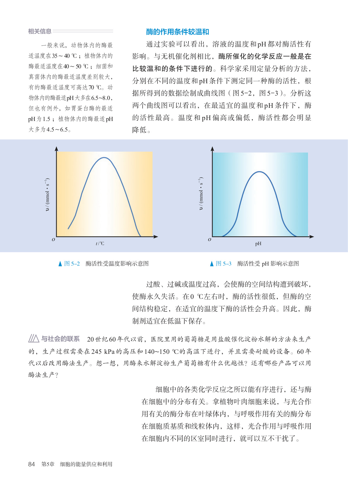 novel_e6006bf5bcf9.jpg