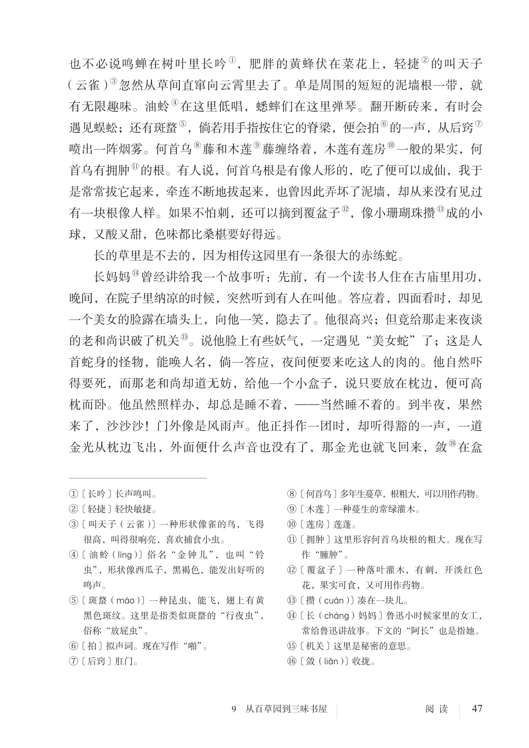 novel_0483298abf7c.jpg