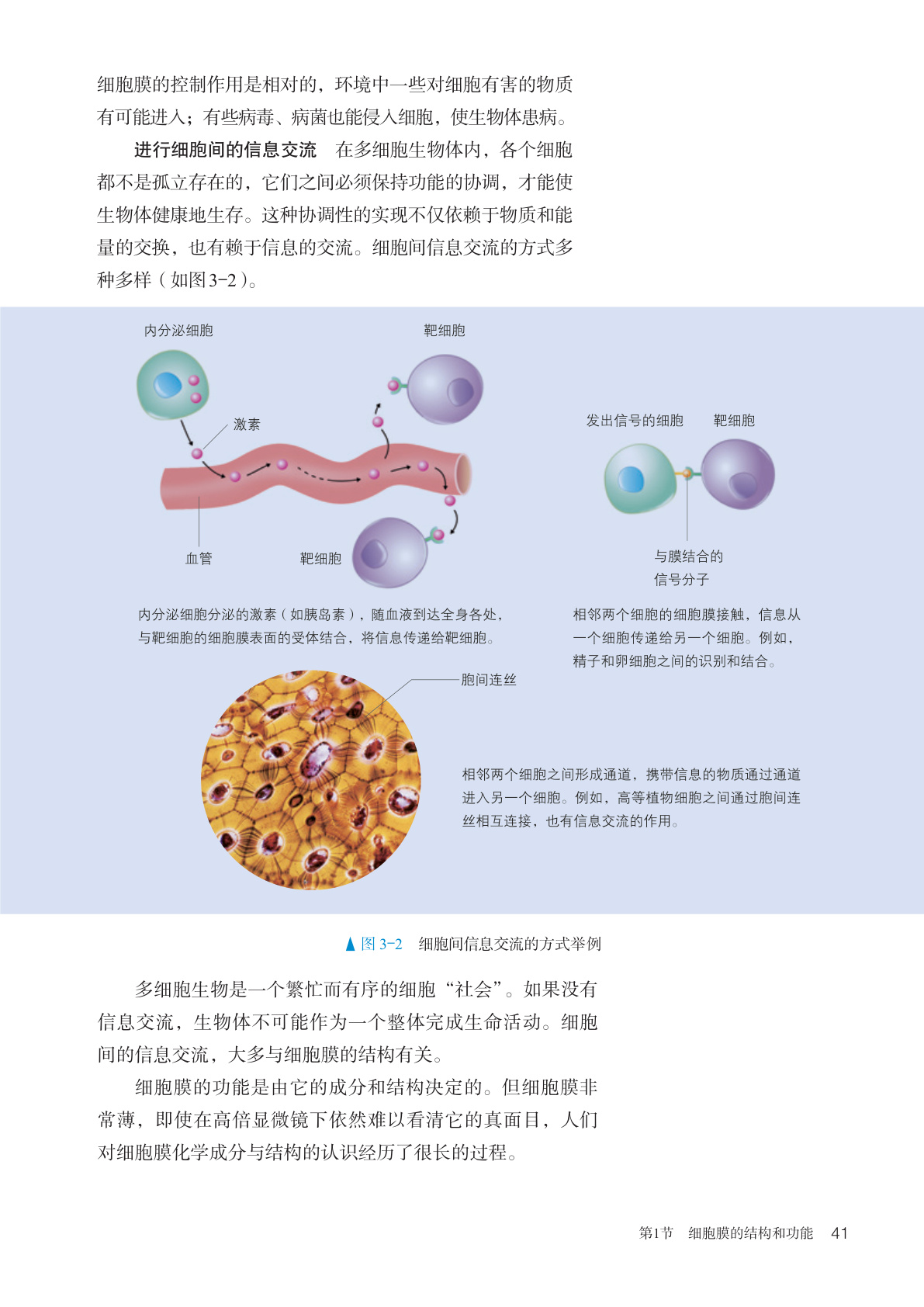 novel_23bd8a042d8e.jpg