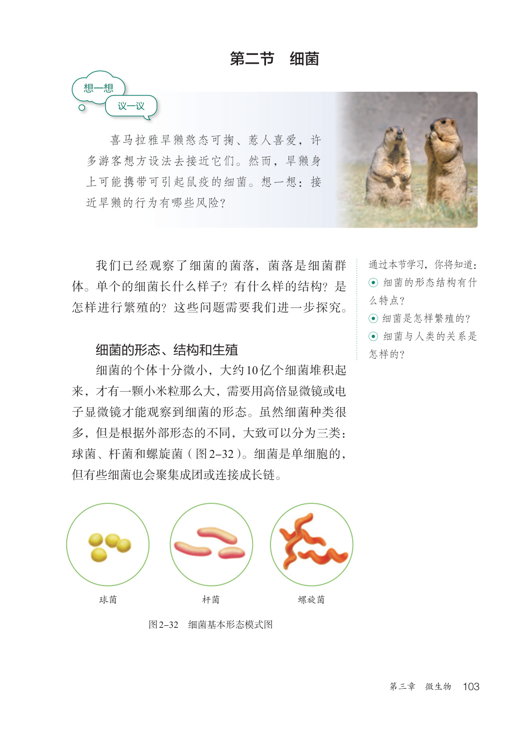 novel_43dda9402332.jpg