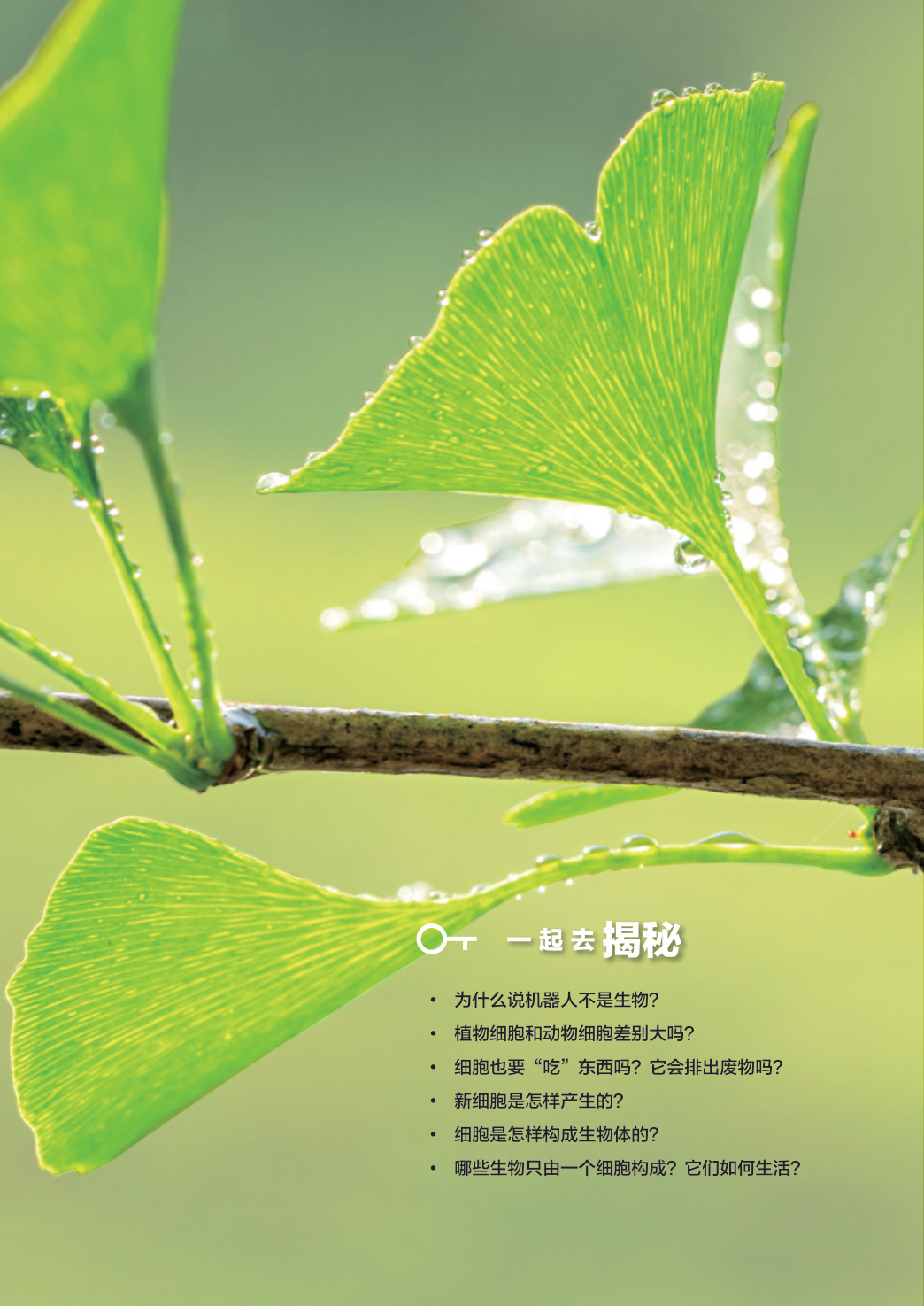 novel_c289946c258d.jpg