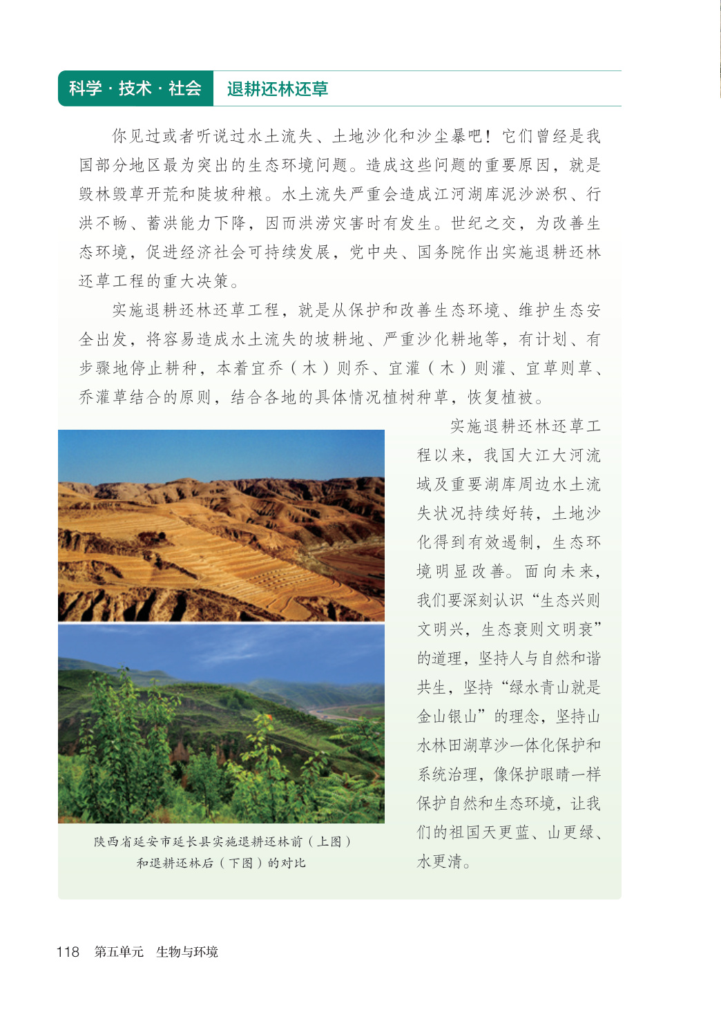 novel_f0df17e6954a.jpg