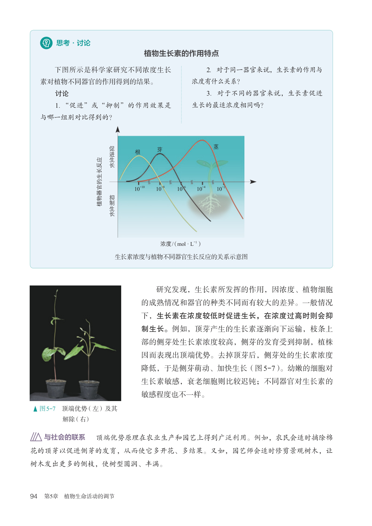 novel_939ac6c084af.jpg