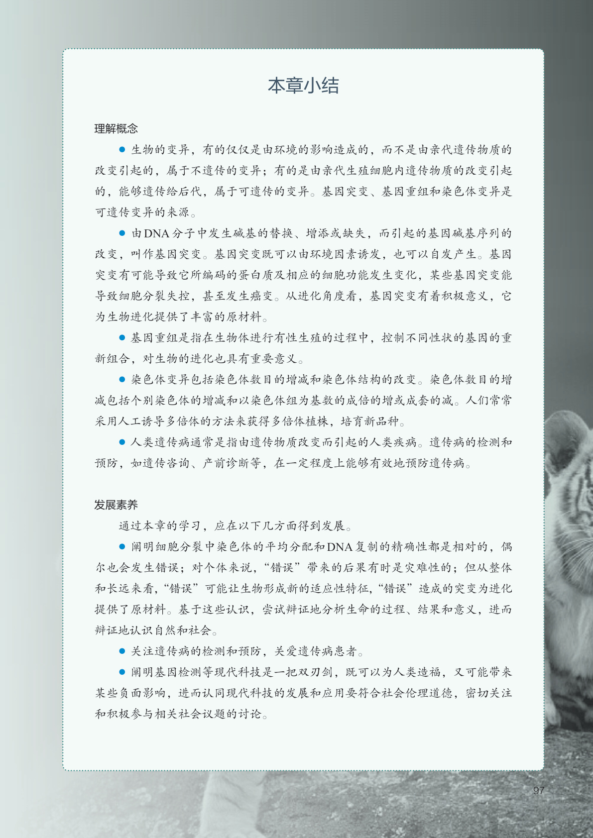 novel_68d137e4dac8.jpg