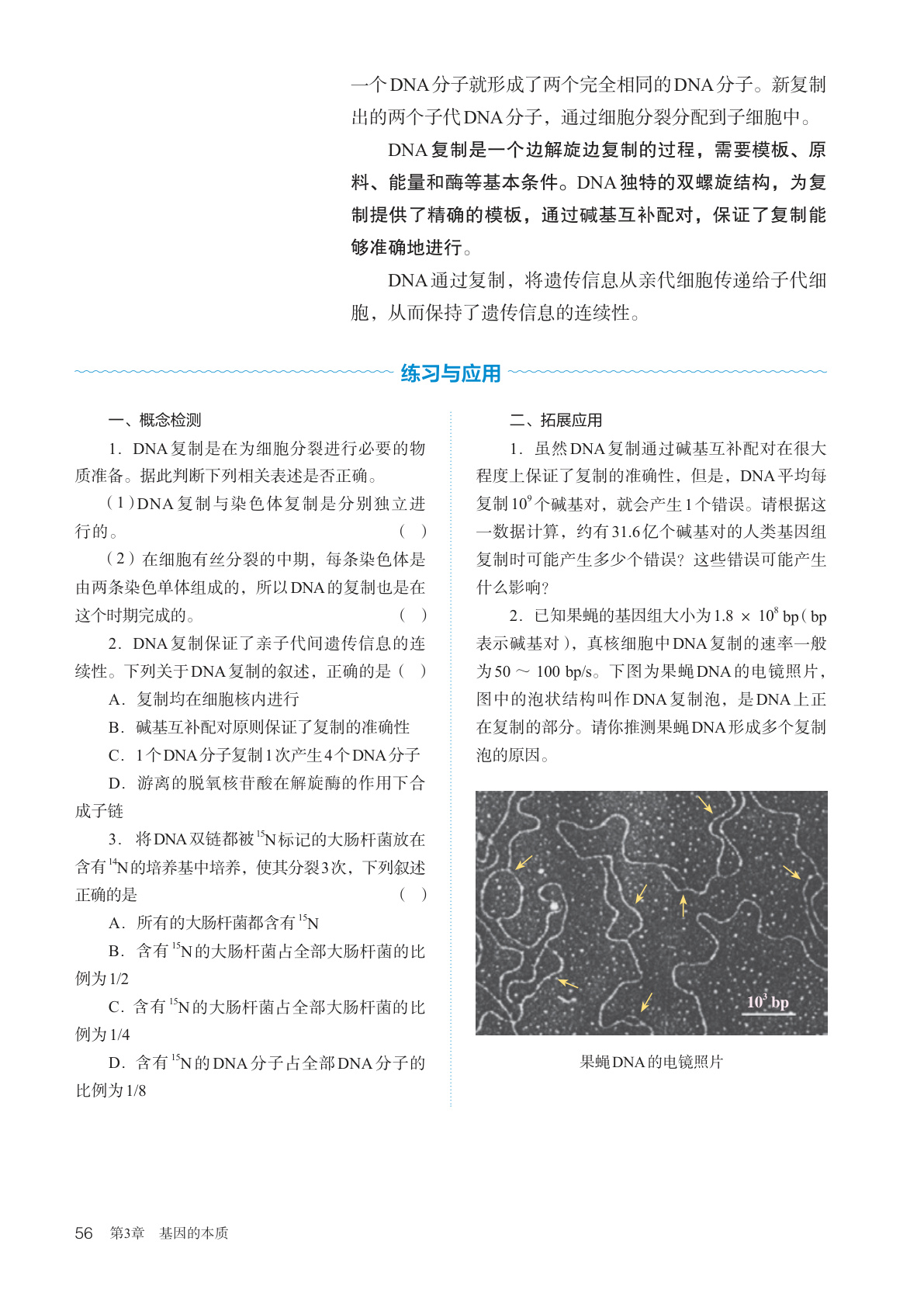novel_f42a03a2c8ba.jpg