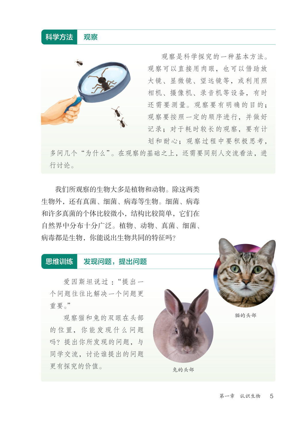 novel_748aa3511063.jpg