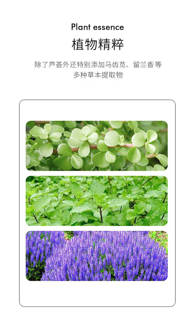 详情-6.jpg